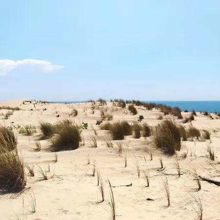 Hébergement de vacances Belle Villa T5 Pour 8 Pers. A La Palmyre - Proche Mer, Parking, Wifi - Fr-1-705-76 Les Mathes