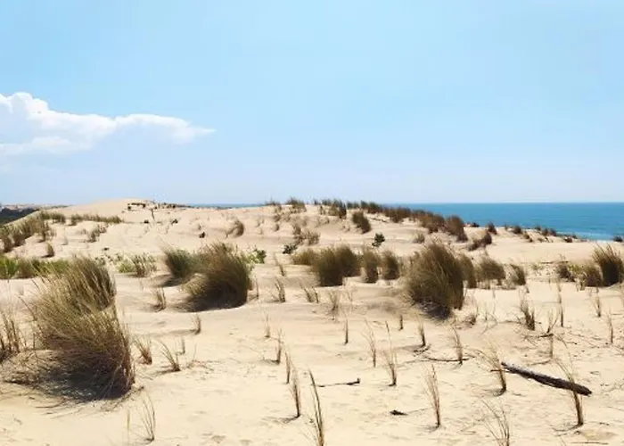 Holiday home Belle Villa T5 Pour 8 Pers. A La Palmyre - Proche Mer, Parking, Wifi - Fr-1-705-76 Les Mathes